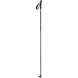 Salomon Escape Poles